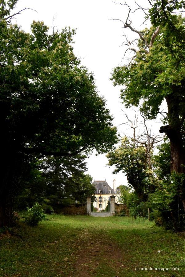 Domaine De La Briouse Bed and Breakfast Sanxay Esterno foto