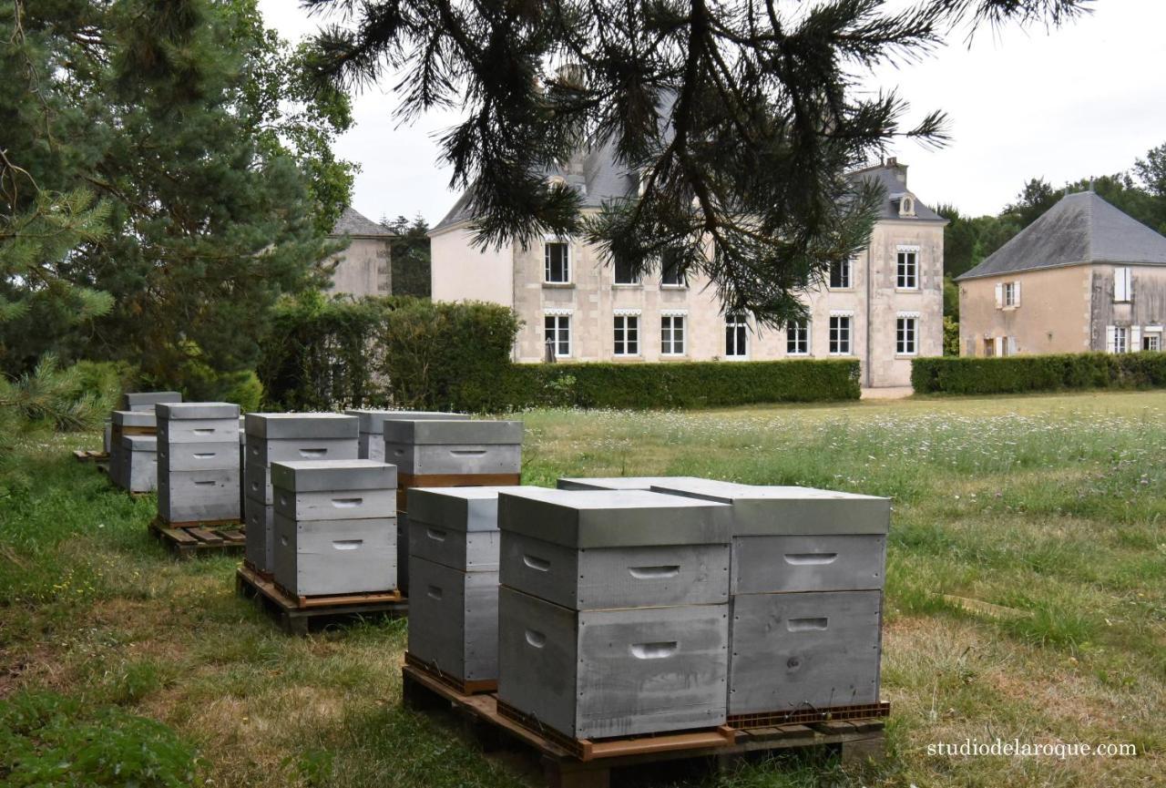 Domaine De La Briouse Bed and Breakfast Sanxay Esterno foto
