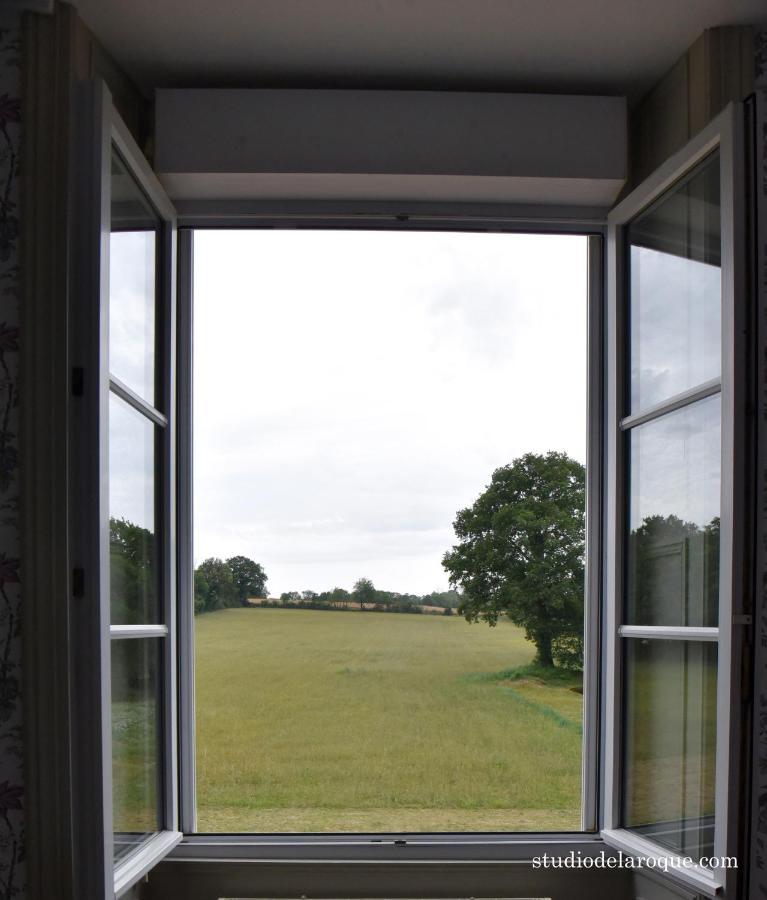 Domaine De La Briouse Bed and Breakfast Sanxay Esterno foto