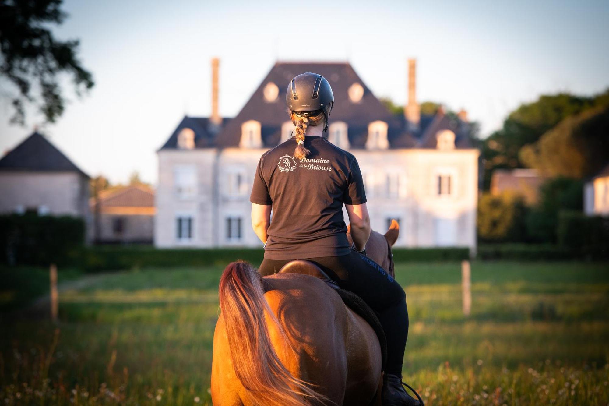 Domaine De La Briouse Bed and Breakfast Sanxay Esterno foto