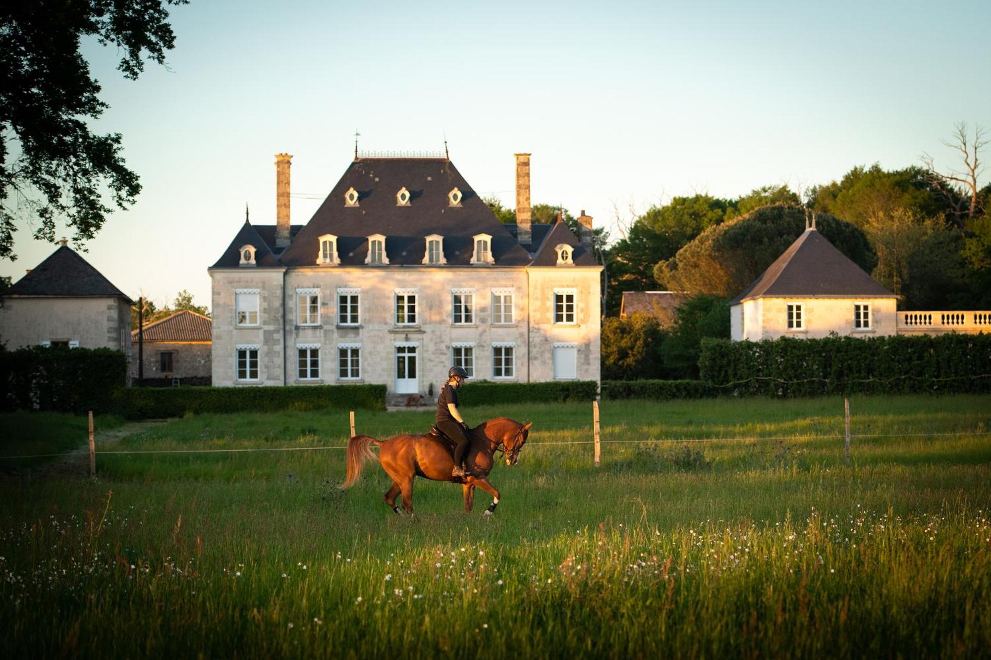 Domaine De La Briouse Bed and Breakfast Sanxay Esterno foto
