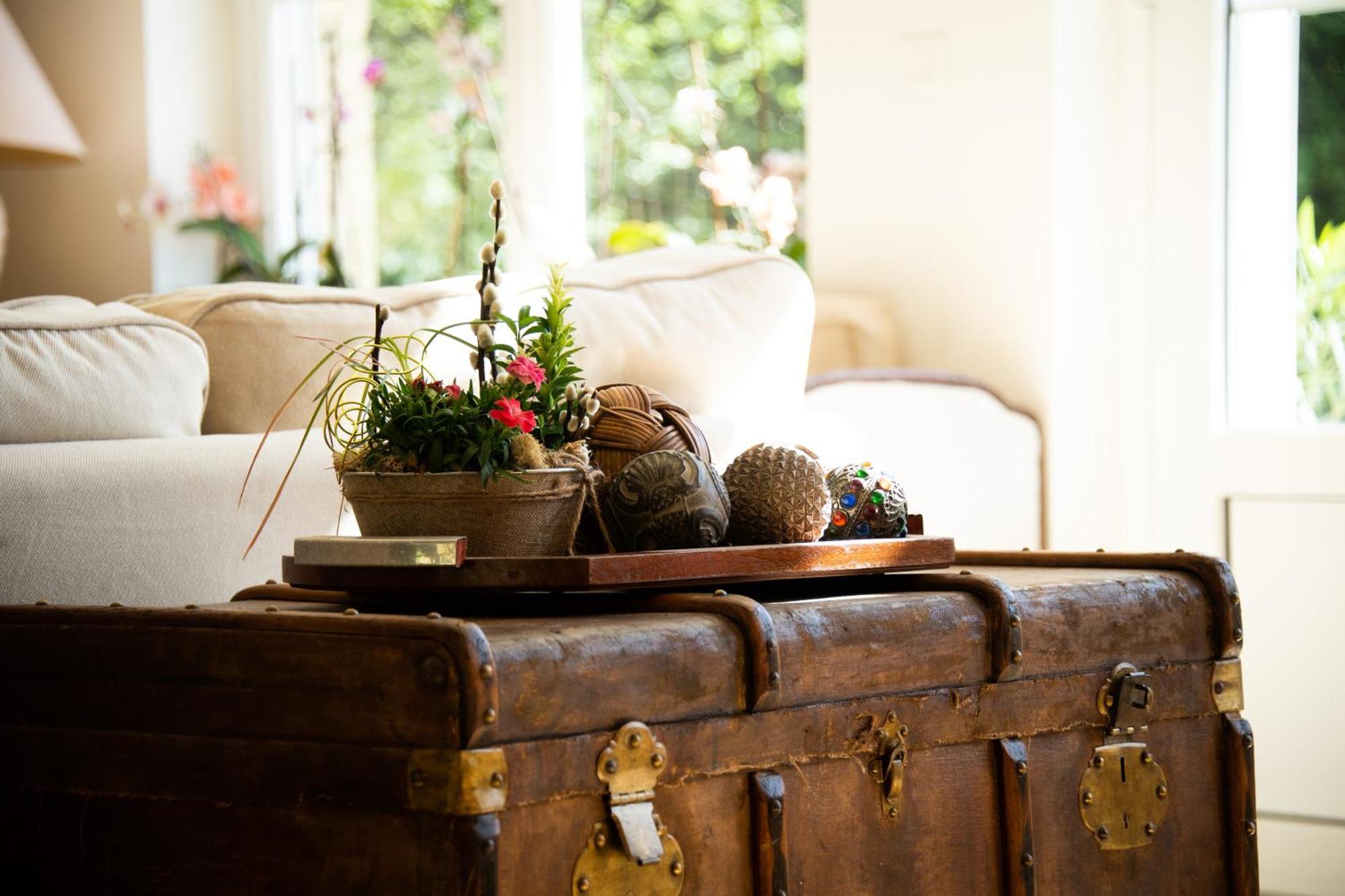 Domaine De La Briouse Bed and Breakfast Sanxay Esterno foto